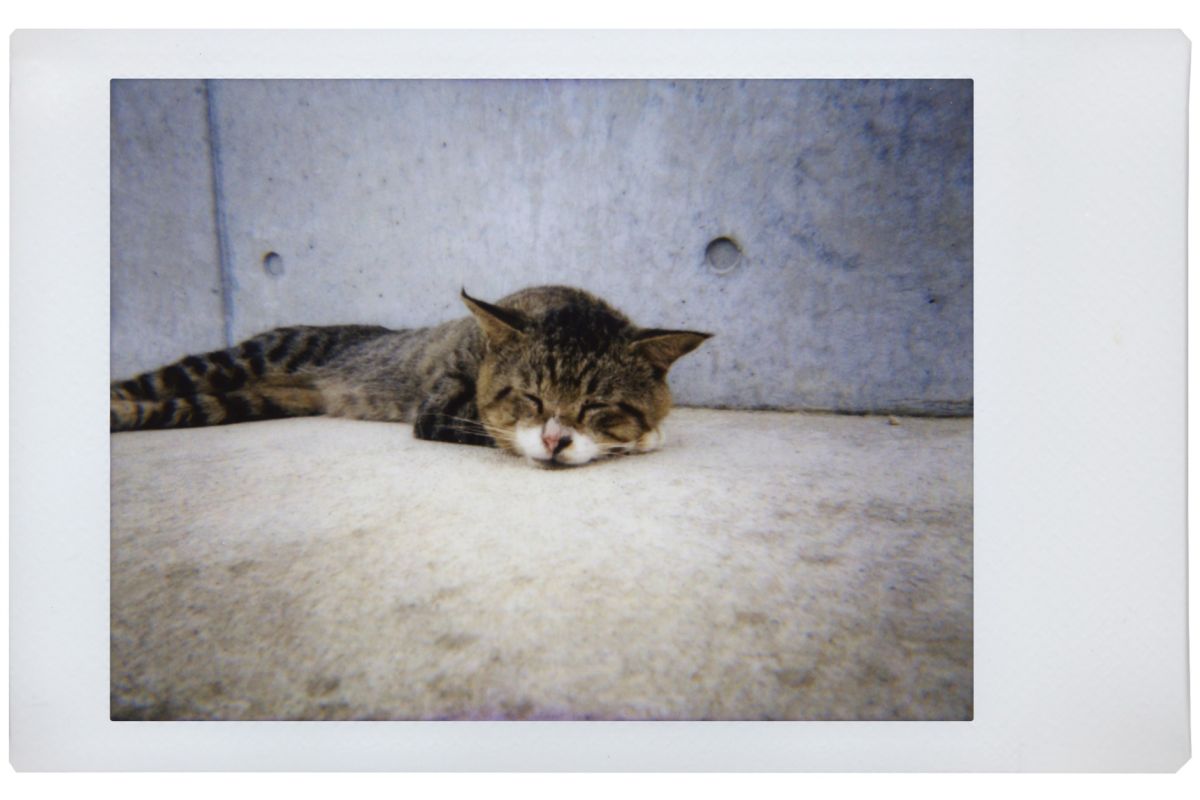 Фотоаппарат моментальной печати Lomography LOMO'Instant Automat Henry Steiner + 3 объектива