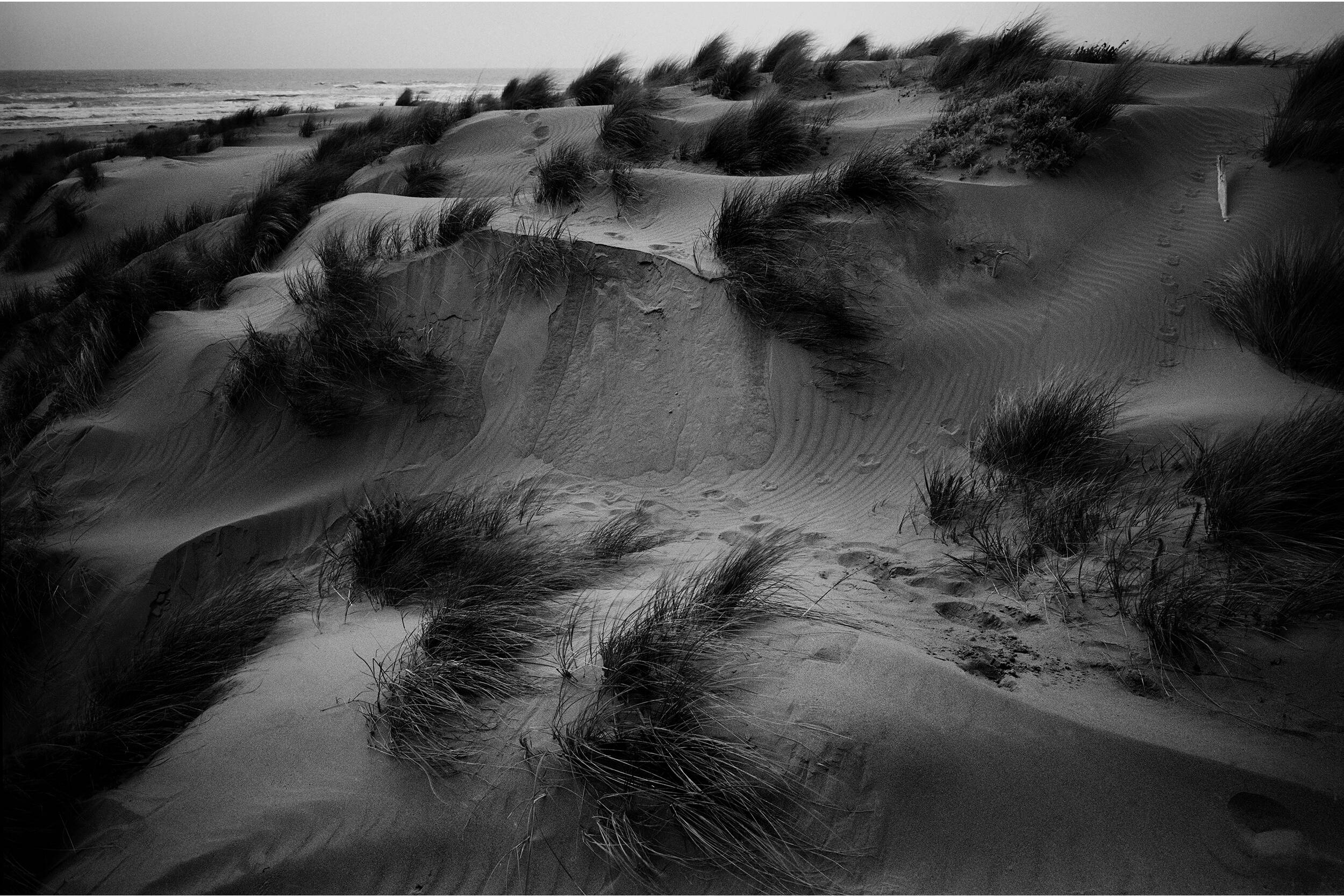 Компактный фотоаппарат Leica Q3 Monochrom (ROW)