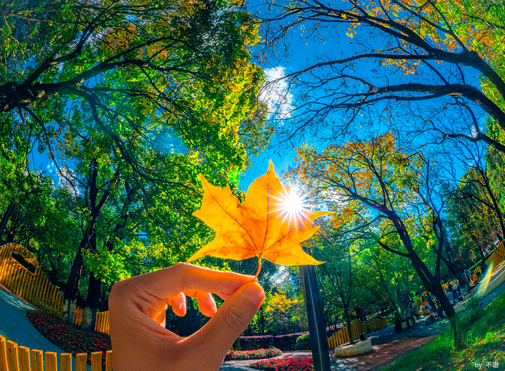 Объектив 7Artisans 6mm f/2 Fisheye для Canon RF (APS-C)