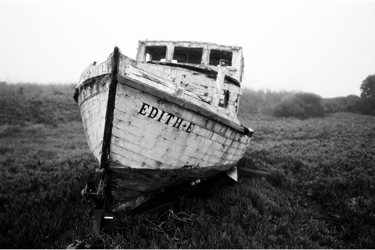 Фотопленка Lomography Earl Grey 100/36 3-pack
