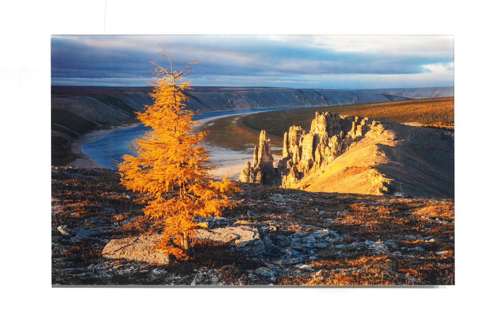 Фотография Золотая осень, пластификация 60х90  см