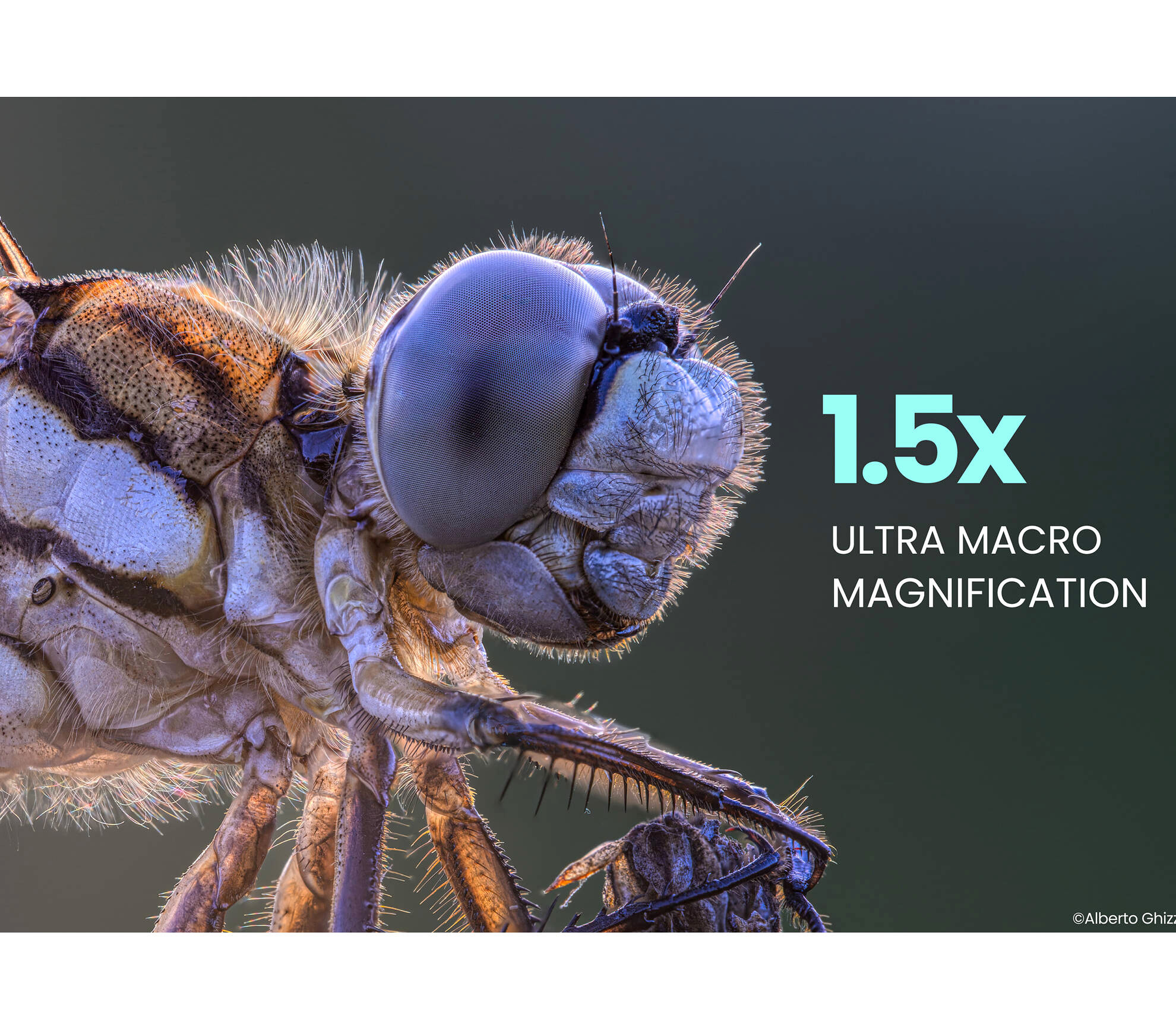 Объектив Laowa 180mm f/4.5 1.5x Ultra Macro APO Nikon Z