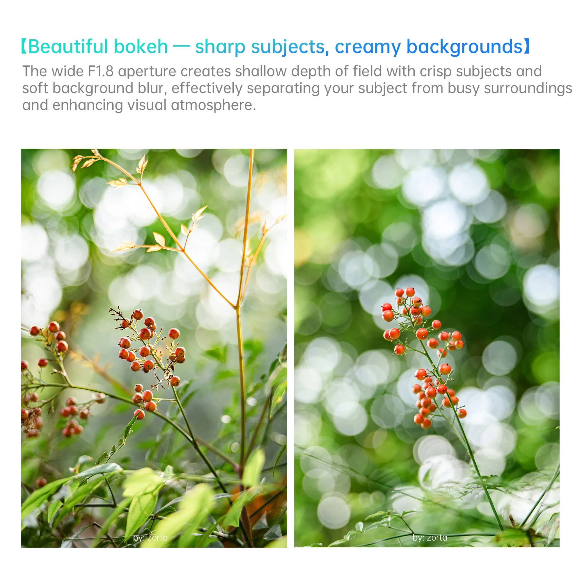 Объектив 7Artisans AF 50mm f/1.8 Lite для Sony E (APS-C)