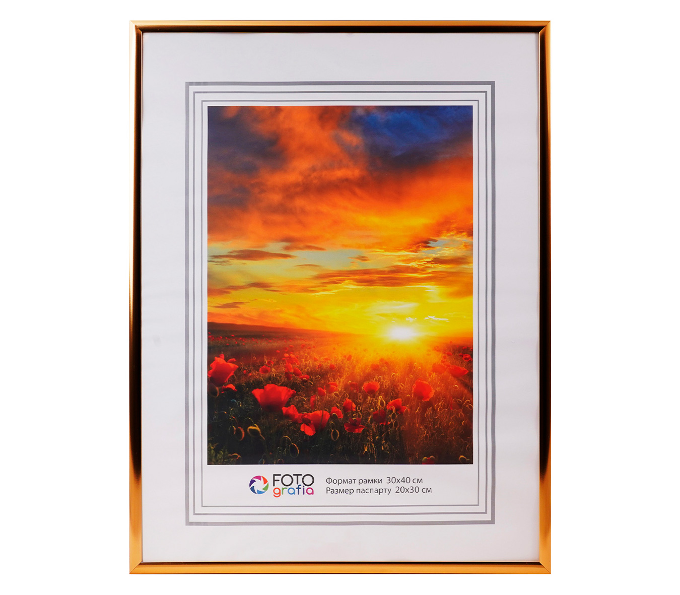 Фоторамка Fotografia 30х40 см, алюминий, золотистая (FFAL-8208)