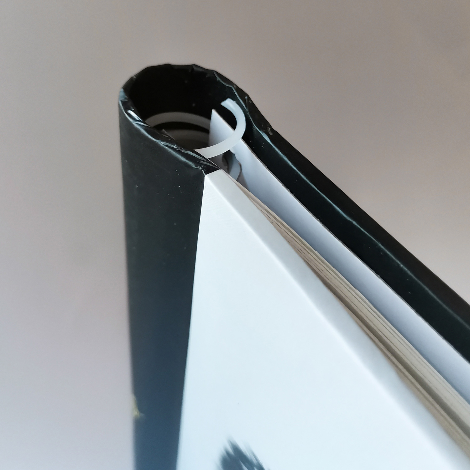 Фотоальбом Полином магнитный, 10 листов 23х28 см, «Fluffy pets» Гав