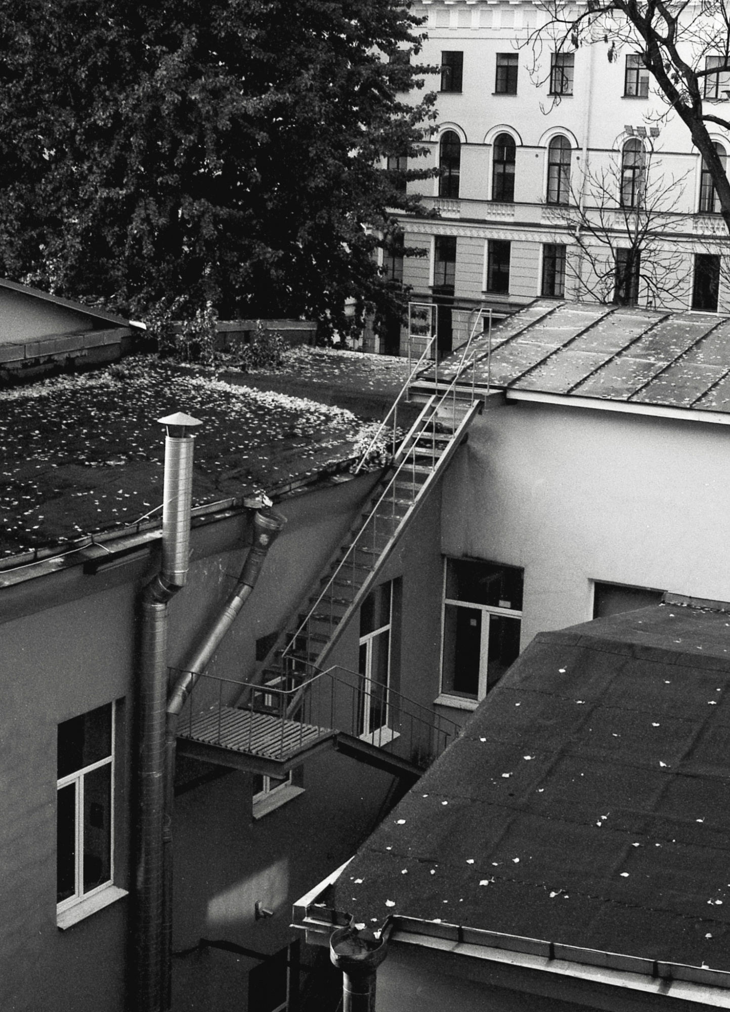 Фотопленка Silberra U200, ч/б негативная, 135 формат, 36 кадров