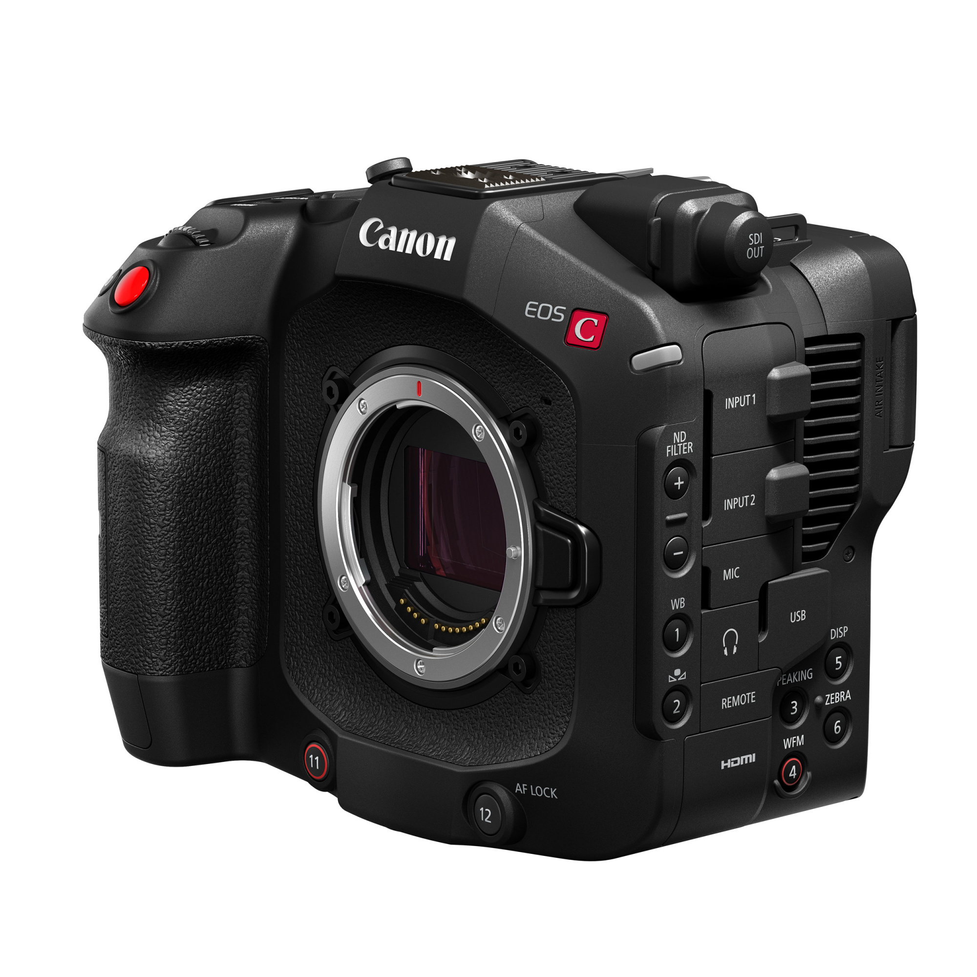 Видеокамера со сменной оптикой Canon EOS C80